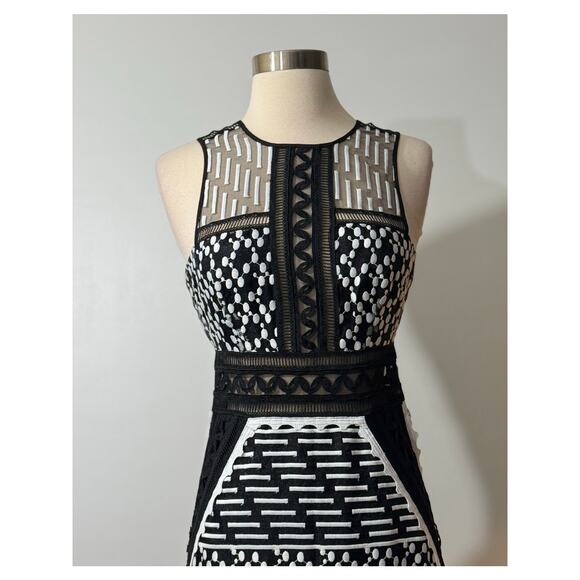 Johnathan Simkhai Embroidered Organza Mesh Midi Dress Size 2 - Picture 3 of 16